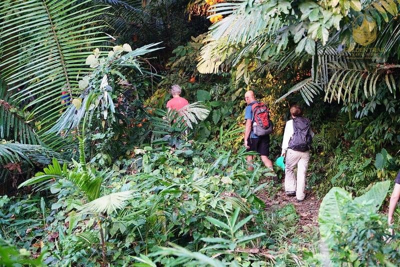 Trekking Vietnam's Hidden Trails 13 Days | Northern Adventure